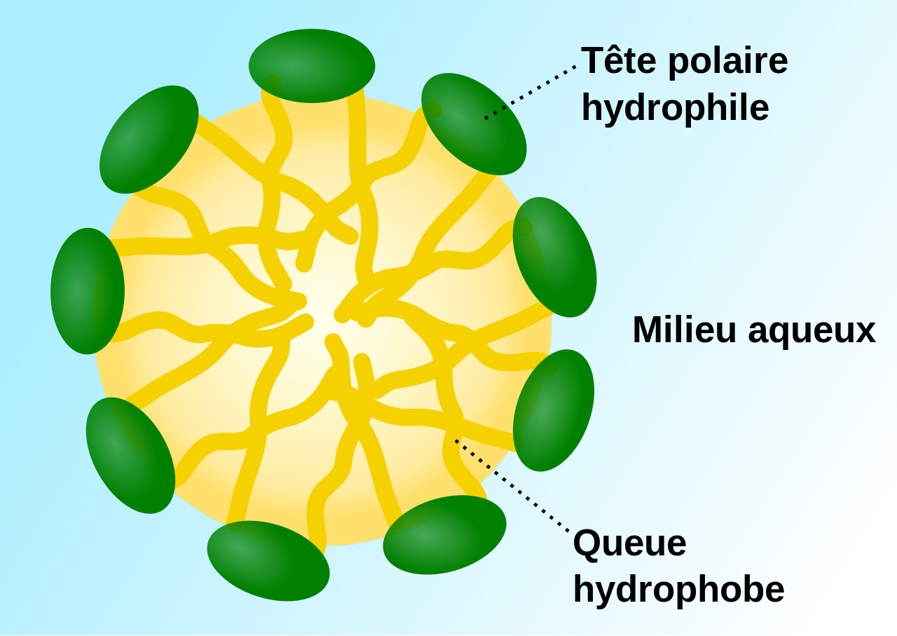 Les transformations Par quels moyens sont réalisées les